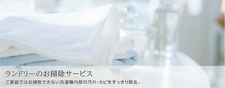 平塚市の洗濯機のお掃除クリーニング