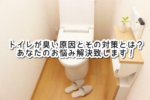 トイレが臭い原因とその対策とは？あなたのお悩み解決致します！