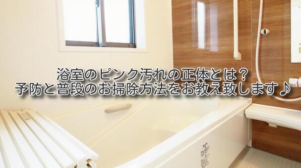 浴室のピンク汚れの正体とは？予防と普段のお掃除方法をお教え致します♪